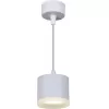 Подвесной светильник  53004-0.9-001LD GX53 WT белый цилиндр