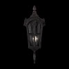 Стеклянный настенный фонарь уличный Albion O413WL-01BZ1 прозрачный Maytoni