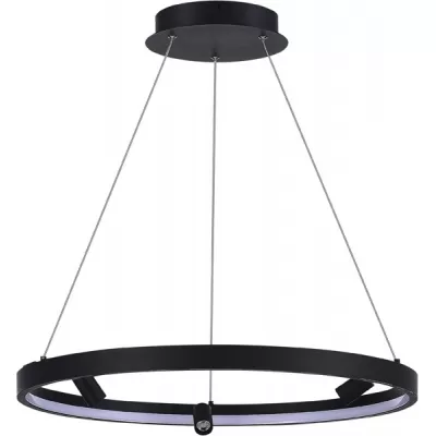 Подвесной светильник Aura Spot S18866R30W1B600 черный