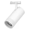 Трековый светильник Canno Pro C4306SS белый цилиндр Lightstar