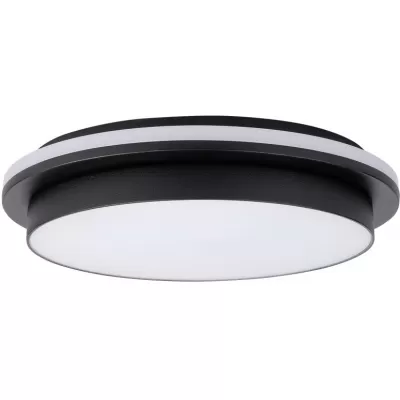 Потолочный светильник уличный SIDNEY LED W2058 Bl Oasis Light