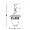 Стеклянный уличный светильник подвесной  87205L Gb прозрачный Oasis Light