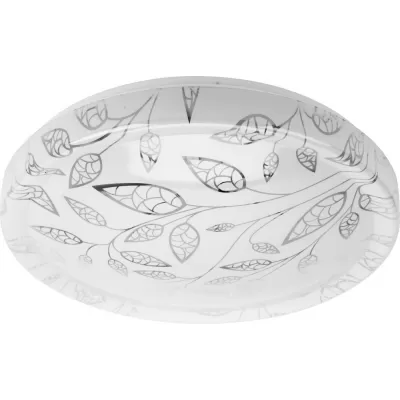 Потолочный светильник  SPB-6-50-4K Syuzi ЭРА