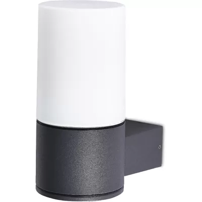 Настенный светильник уличный Top Top DL20502DG E27