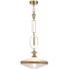 Стеклянный подвесной светильник Krema 5441/1 прозрачный Odeon Light