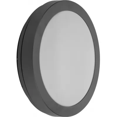 Настенный светильник уличный SIDNEY 3372 Gr Oasis Light