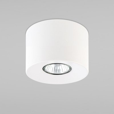 Потолочный светильник Orion 3234 TK Lighting