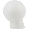 Настенно-потолочный светильник  НБП 01-60-004 наклонный форма шар белый ЭРА