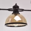Стеклянный подвесной светильник Нойвид 682012103 прозрачный MW-Light